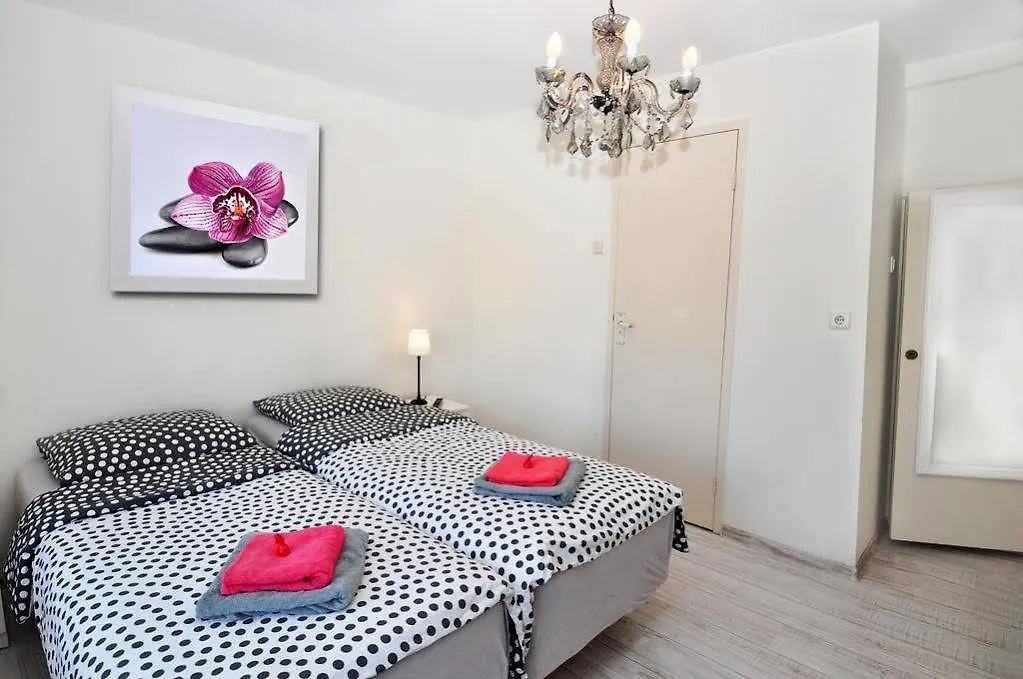 Guest house Pension Schier Zandvoort